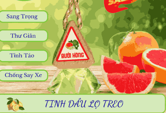 Sỉ tinh dầu bưởi hồng treo xe