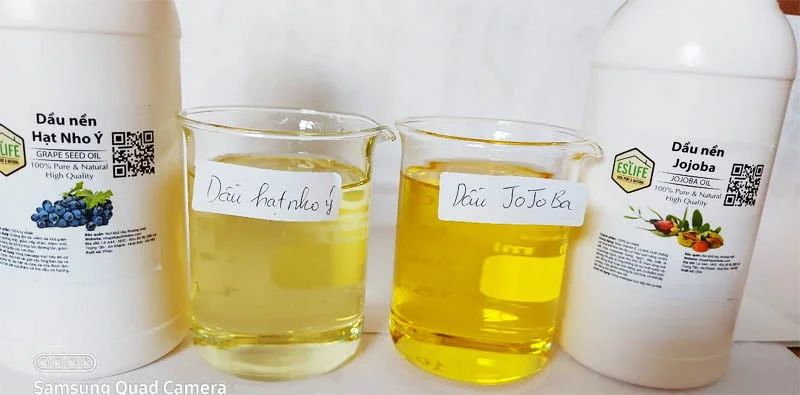 Revivew dầu thực vật
