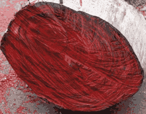 Sỉ Tinh dầu gỗ hồng - Rosewood Essential Oil