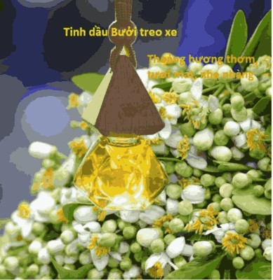 Tinh dầu hoa bưởi treo xe