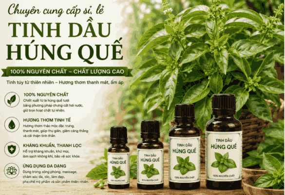 Sỉ tinh dầu húng quế