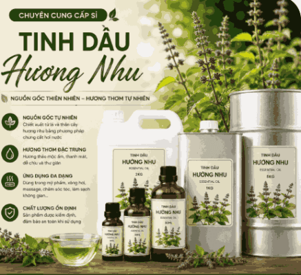 Sỉ tinh dầu hương nhu