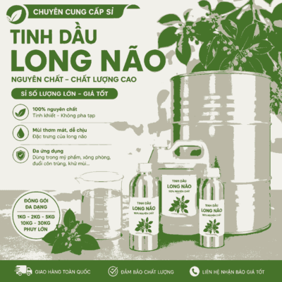 Sỉ tinh dầu long não