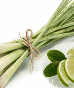 Sỉ Tinh dầu Sả chanh -Lemongrass Essential Oil