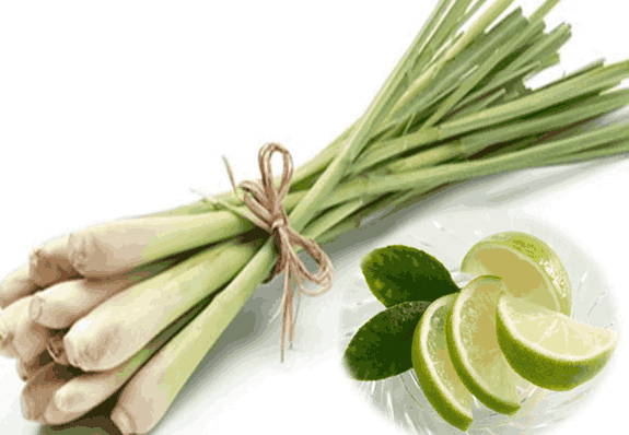 Sỉ Tinh dầu Sả chanh -Lemongrass Essential Oil