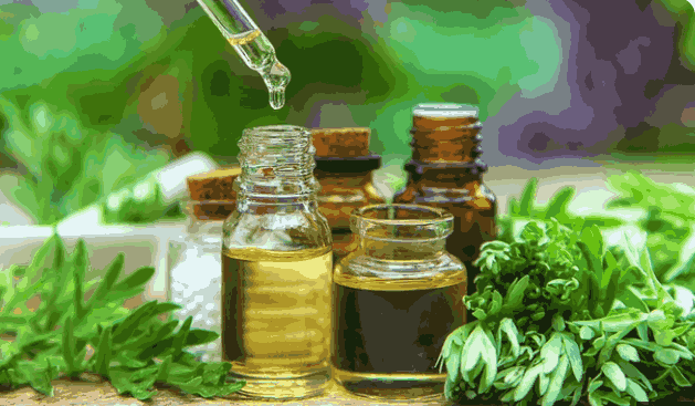Sỉ tinh dầu ngải cứu
