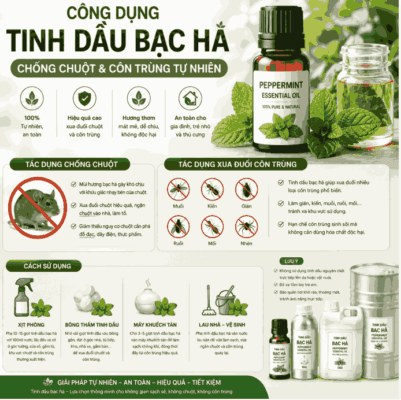 Tinh dầu bạc hà chống chuột và côn trùng