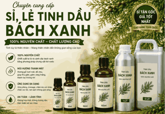 Sỉ tinh dầu bách xanh