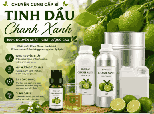Sỉ tinh dầu chanh xanh