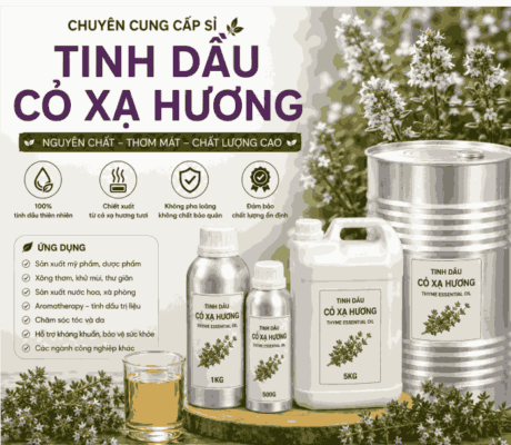 Sỉ tinh dầu cỏ xạ hương