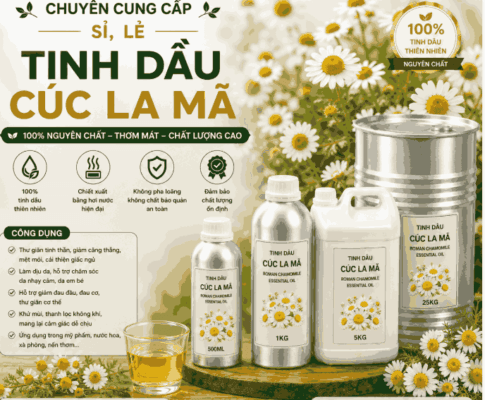 Sỉ tinh dầu hoa cúc la mã