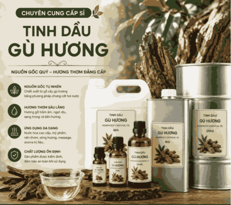Sỉ tinh dầu Gù hương