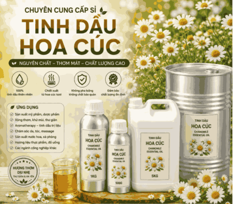 Sỉ tinh dầu hoa cúc