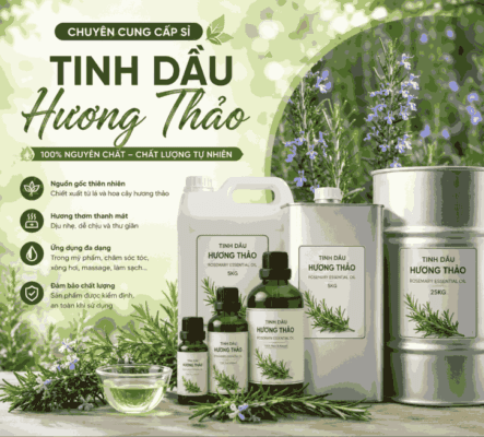 Sỉ tinh dầu hương thảo