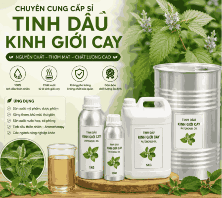Sỉ tinh dàu kinh giới cay
