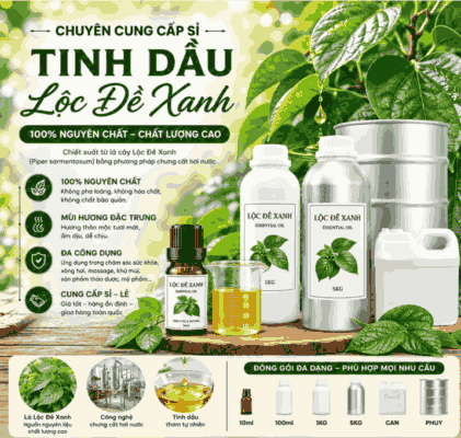 Sỉ tinh dầu lộc đề xanh
