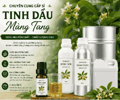 Sỉ tinh dầu màng tang