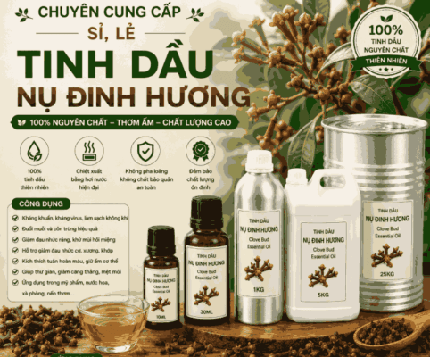 Sỉ tinh dầu nụ đinh hương