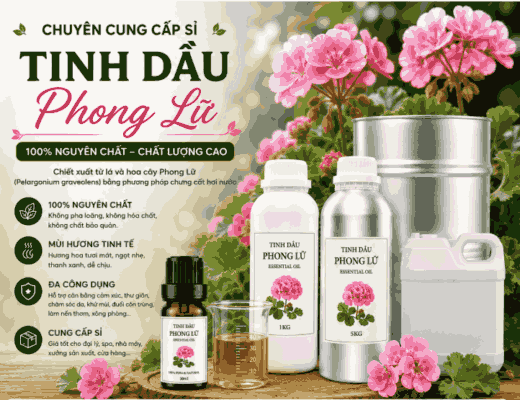 Sỉ tinh dầu phong lữ