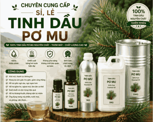 Sỉ tinh dầu pơ mu