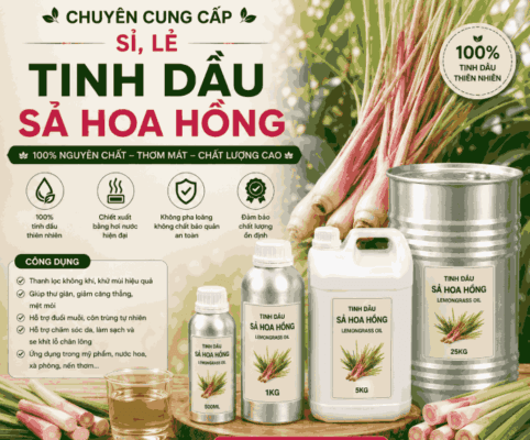 Sỉ tinh đâu sả hoa hồng