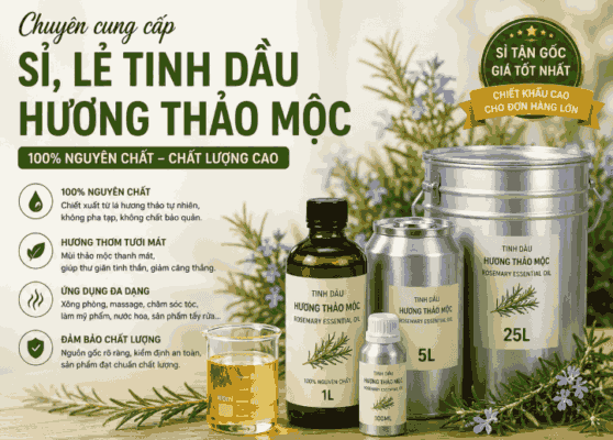 Sỉ tinh dầu hương thảo mộc