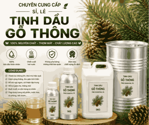 Sỉ tinh dầu thông