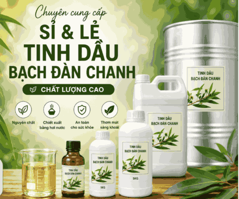 Sỉ tinh dầu bạch đàn