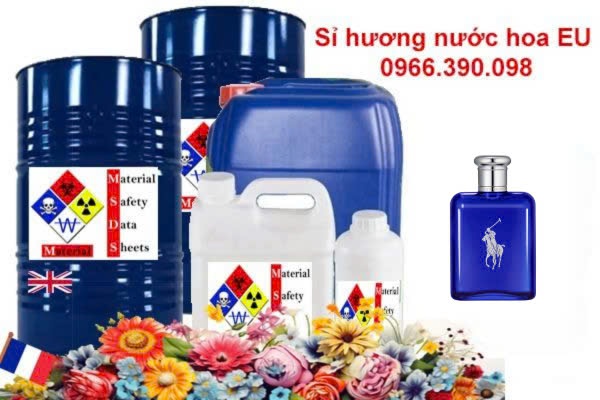 Hương nước hoa Polo Blue EDT