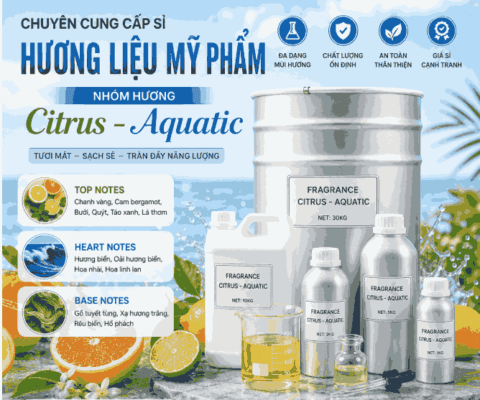 Tinh dầu nước hoa Luxury T31