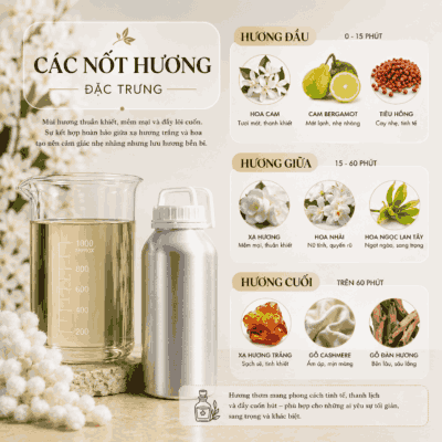 Tinh dầu nước hoa nữ N35