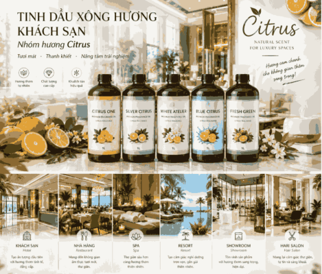 Tinh dầu khách sạn